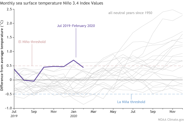 Monthly sea surface temperature graph