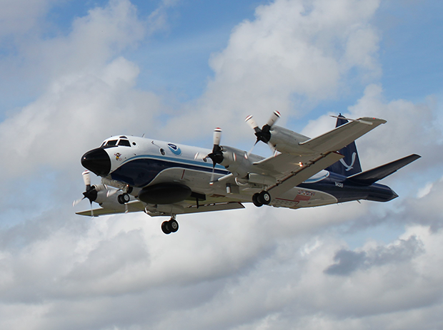 Miss Piggy taking off