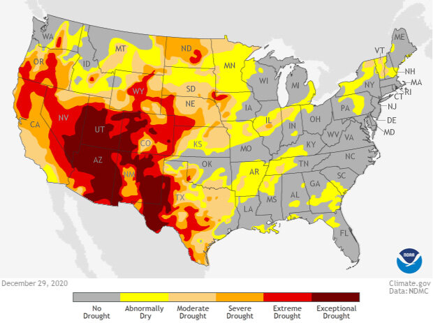 Drought status