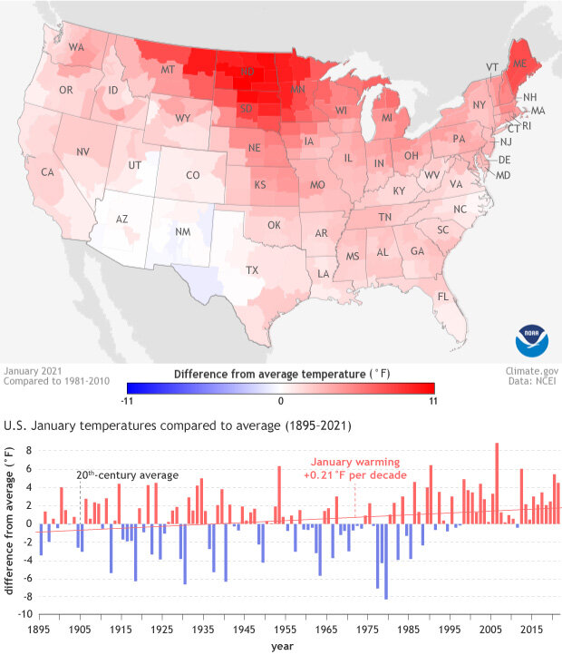 US January 2021 temperature anom graph