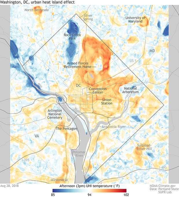 Temperature map across Washington DC