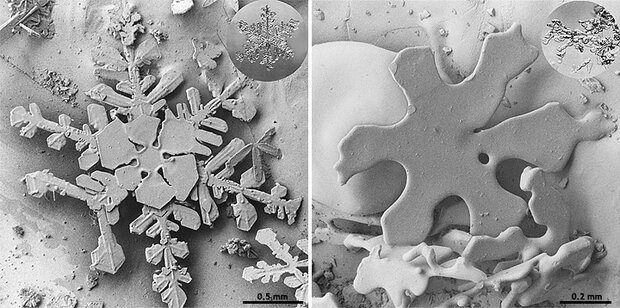 Pair of scanning electron microscope&nbsp;photos of snowflakes showing different configurations of facets and grains based on temperature.
