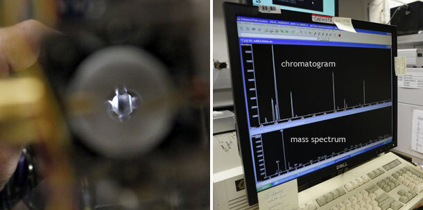 Quadrupole and chromatogram