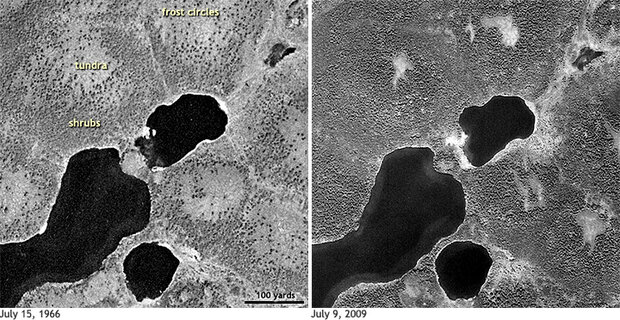 Vegetation comparison of open tundra from a satellite view
