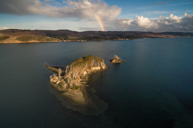 Tomales Bay