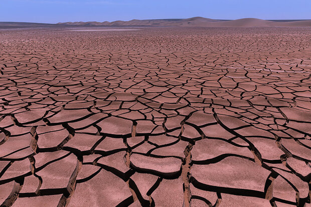 Cracked soil