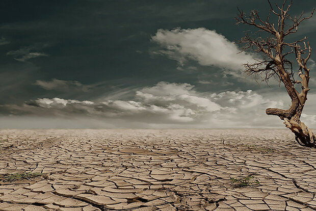 Desert landscape
