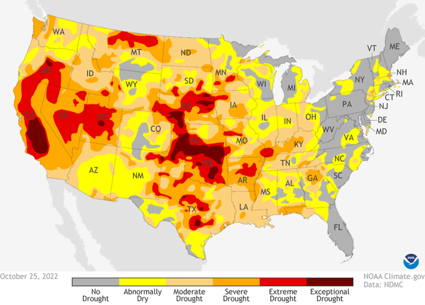 US Drought monitor on October 25, 2022. Yellow, oranges and reds covering much of the country indicates increasing severities of drought.