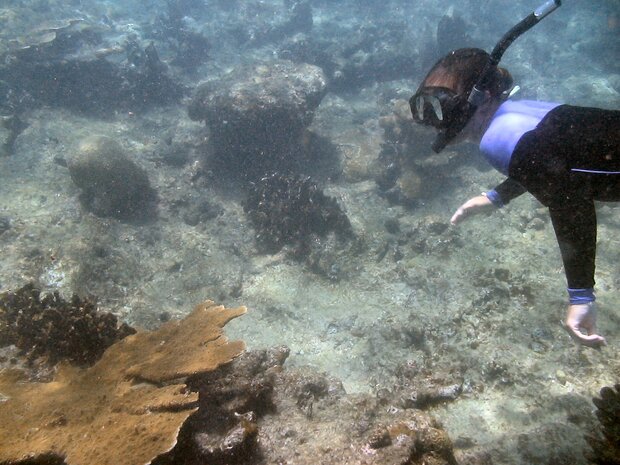 Lisamarie Carrubba snorkeling