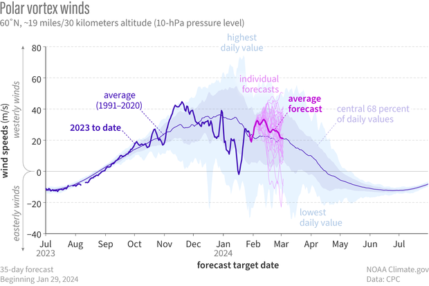 Time series of observed and forecast polar vortex winds