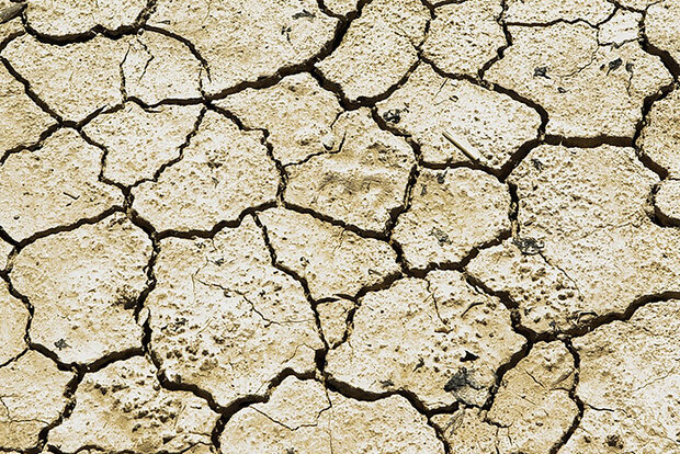 Cracked soil