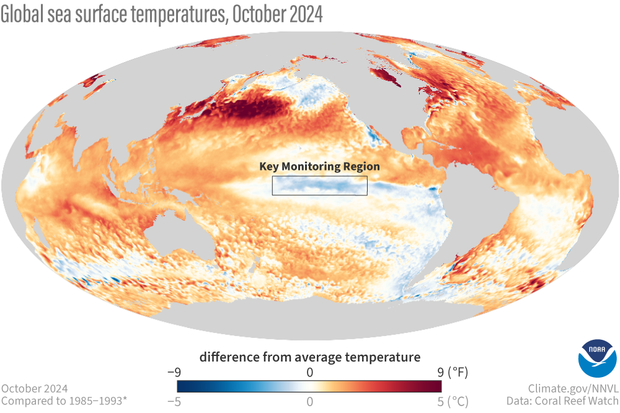 map of global sea surface temperature in October 2024