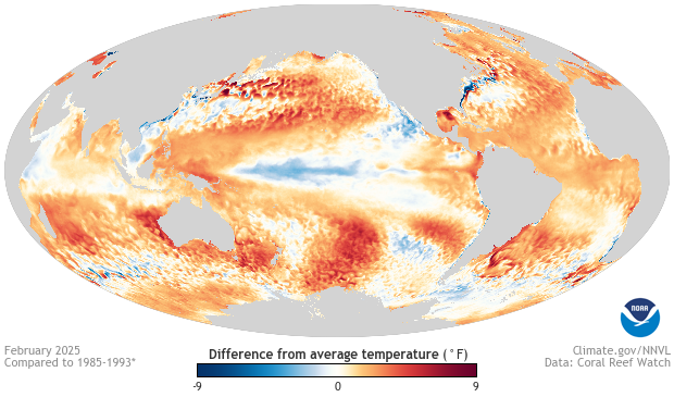 Feb25_SST_anomaly