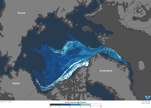Map of age of Arctic sea ice on March 22, 2025.