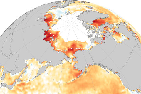 Sea surface temperature anomaly map