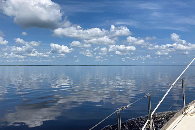 Alligator river on a sunny day