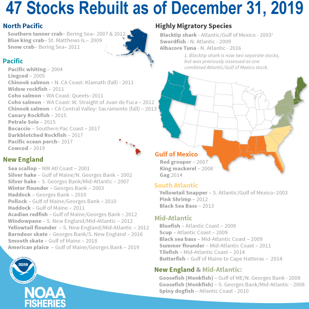 Rebuilt fish stocks