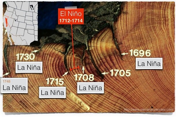 Image of fire-scar sample collected from Sierra Nevada Mountains with corresponding ENSO events identified