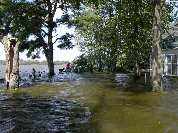 Bud Hankins wading