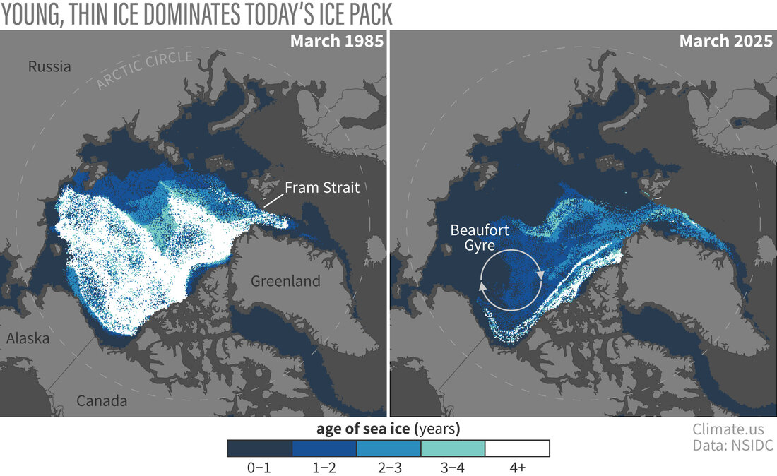 Two maps comparing Arctic sea ice age in March 1985 versus 2025. Only a small strip of very old ice remains, tucked up against the islands of the Canadian Arctic. More than half of the winter ice pack was less than a year old (dark blue).
