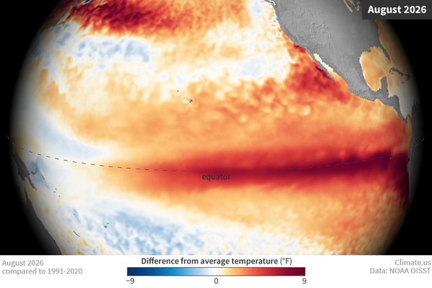 Globe-style map showing much warmer than average waters at the equator of the Pacific Ocean in August 2026