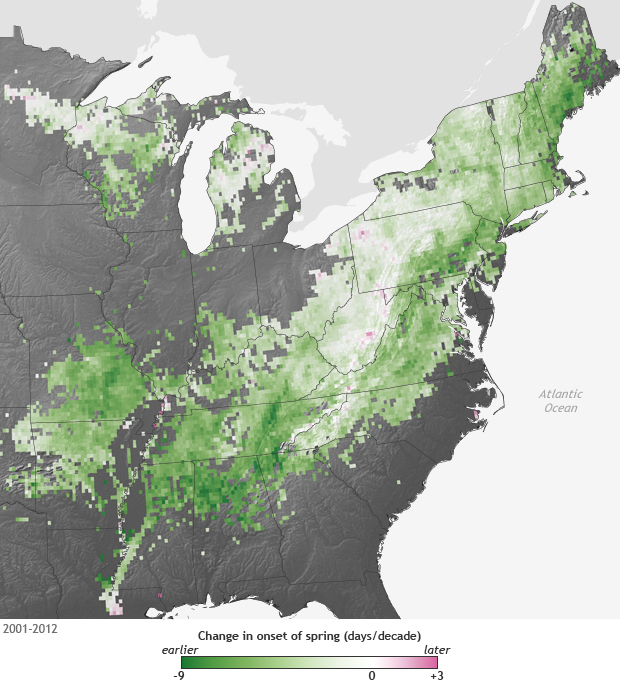 In response to warming, Eastern forests inhaling more carbon dioxide than they're exhaling